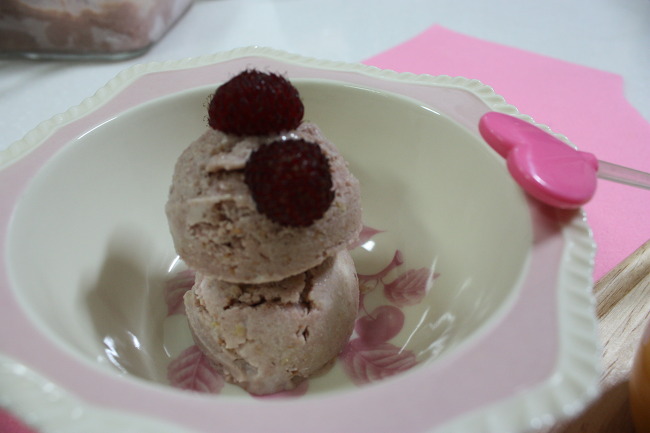 홈메이드 산딸기 아이스크림
