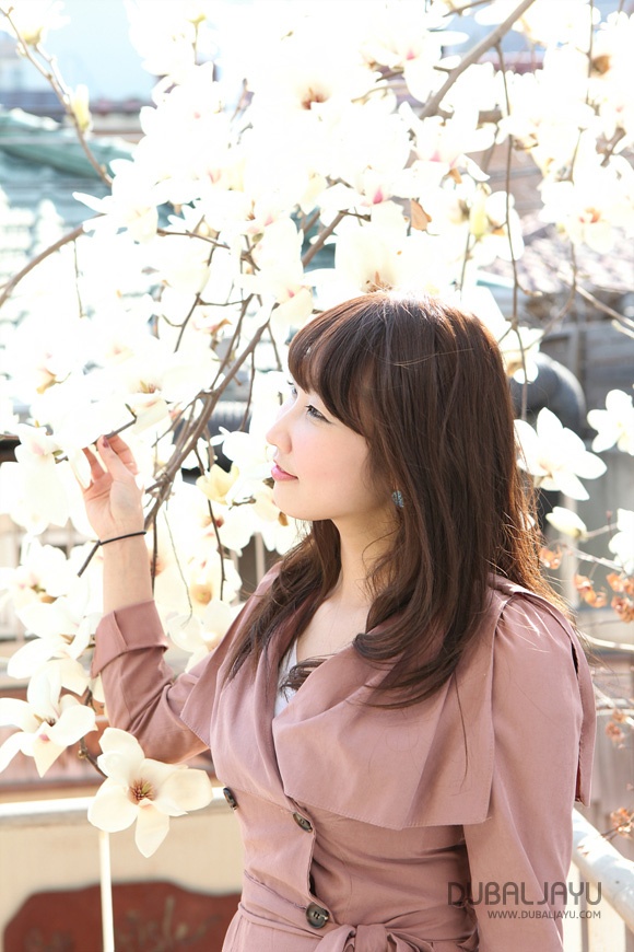 샤인헤어 이미지